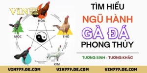 80 Màu Mạng Gà Đá