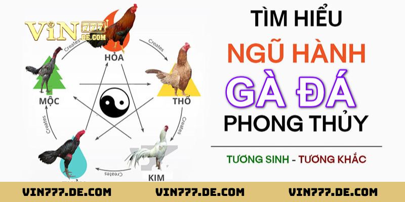 80 Màu Mạng Gà Đá